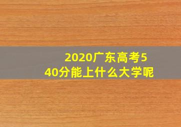 2020广东高考540分能上什么大学呢