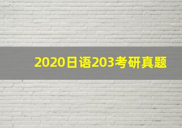 2020日语203考研真题