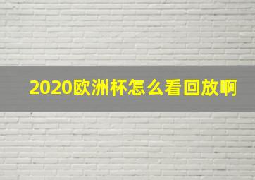 2020欧洲杯怎么看回放啊