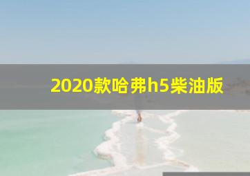 2020款哈弗h5柴油版