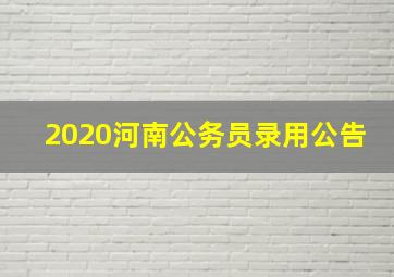 2020河南公务员录用公告