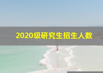 2020级研究生招生人数