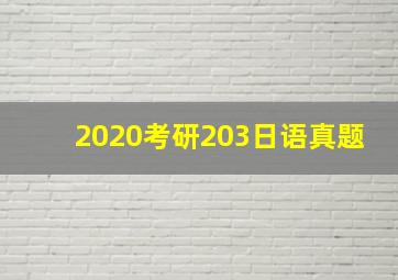 2020考研203日语真题