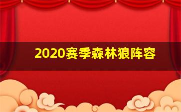 2020赛季森林狼阵容