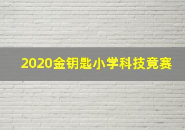 2020金钥匙小学科技竞赛