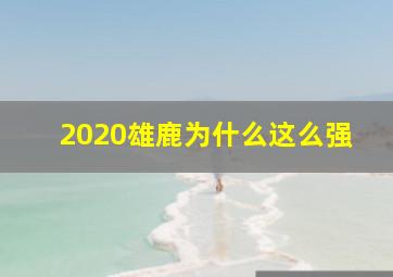 2020雄鹿为什么这么强