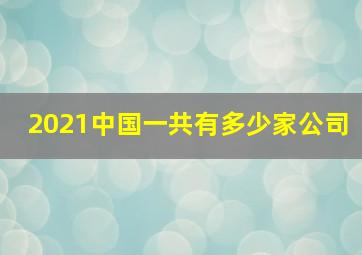 2021中国一共有多少家公司