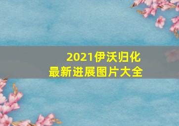 2021伊沃归化最新进展图片大全