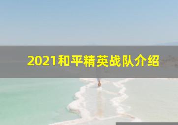 2021和平精英战队介绍