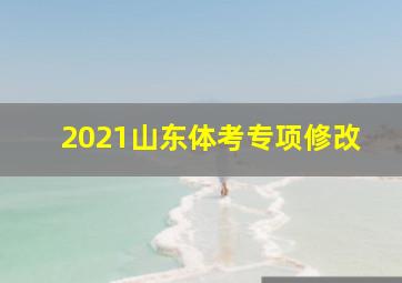 2021山东体考专项修改