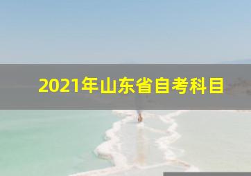 2021年山东省自考科目