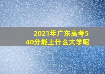 2021年广东高考540分能上什么大学呢