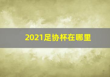 2021足协杯在哪里