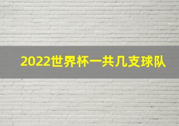 2022世界杯一共几支球队