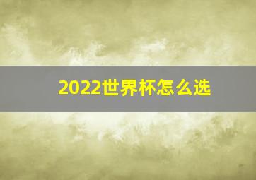 2022世界杯怎么选