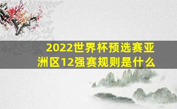 2022世界杯预选赛亚洲区12强赛规则是什么