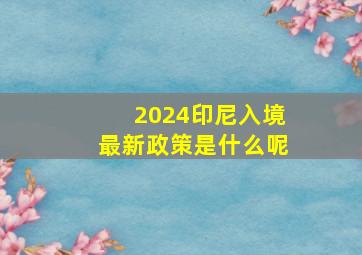 2024印尼入境最新政策是什么呢