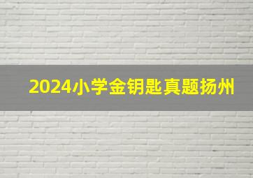 2024小学金钥匙真题扬州