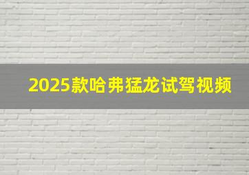 2025款哈弗猛龙试驾视频