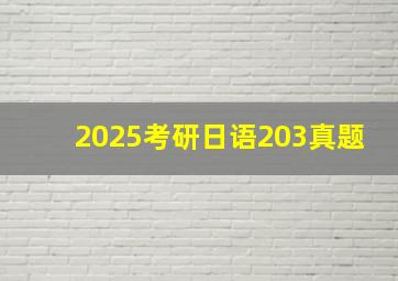 2025考研日语203真题