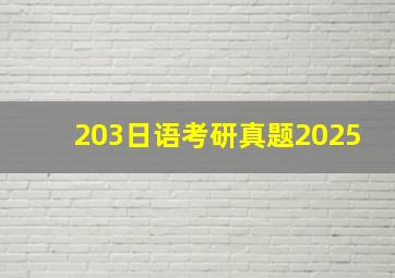 203日语考研真题2025