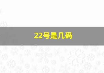 22号是几码