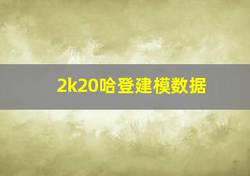 2k20哈登建模数据