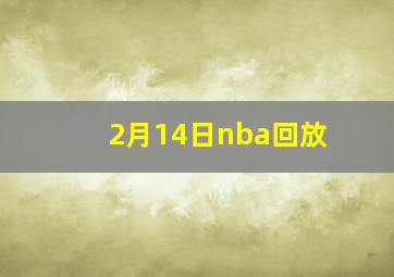 2月14日nba回放