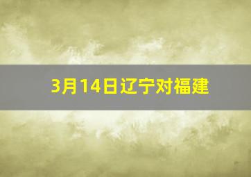 3月14日辽宁对福建