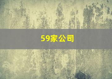 59家公司