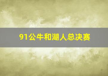 91公牛和湖人总决赛