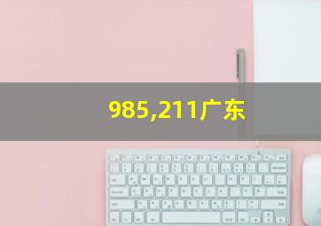 985,211广东