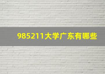 985211大学广东有哪些