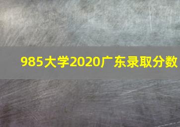 985大学2020广东录取分数