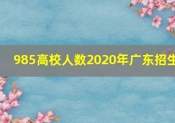 985高校人数2020年广东招生