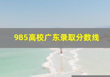 985高校广东录取分数线