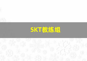 SKT教练组