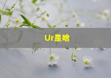 Ur是啥