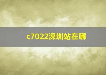 c7022深圳站在哪