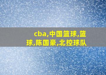 cba,中国篮球,篮球,陈国豪,北控球队