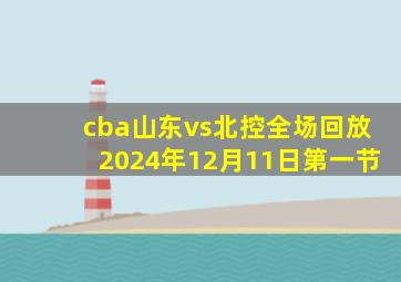 cba山东vs北控全场回放2024年12月11日第一节