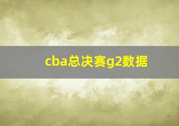 cba总决赛g2数据