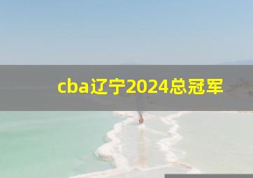 cba辽宁2024总冠军