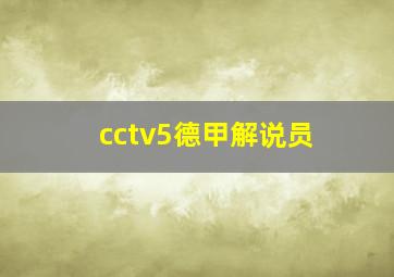 cctv5德甲解说员