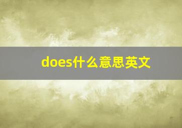 does什么意思英文