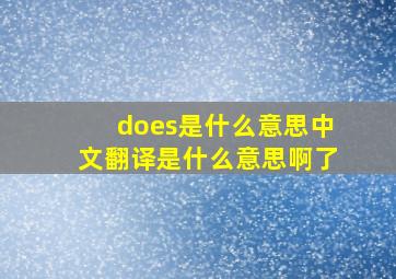 does是什么意思中文翻译是什么意思啊了