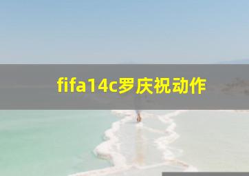 fifa14c罗庆祝动作