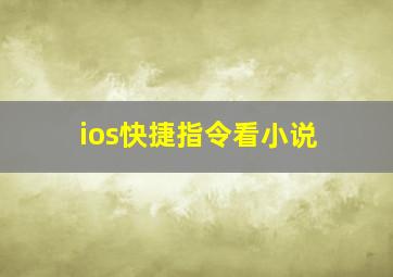 ios快捷指令看小说