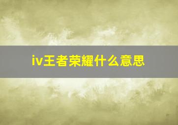 iv王者荣耀什么意思