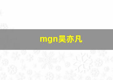 mgn吴亦凡